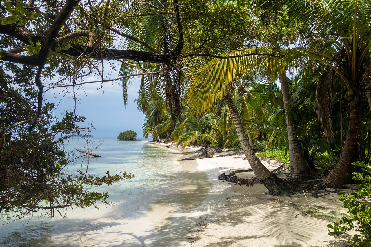 como llegar a la selva de costa rica