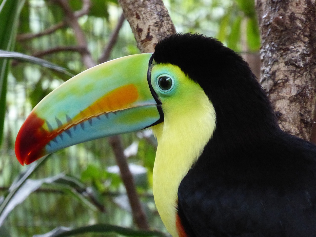 preguntas frecuentes de costa rica