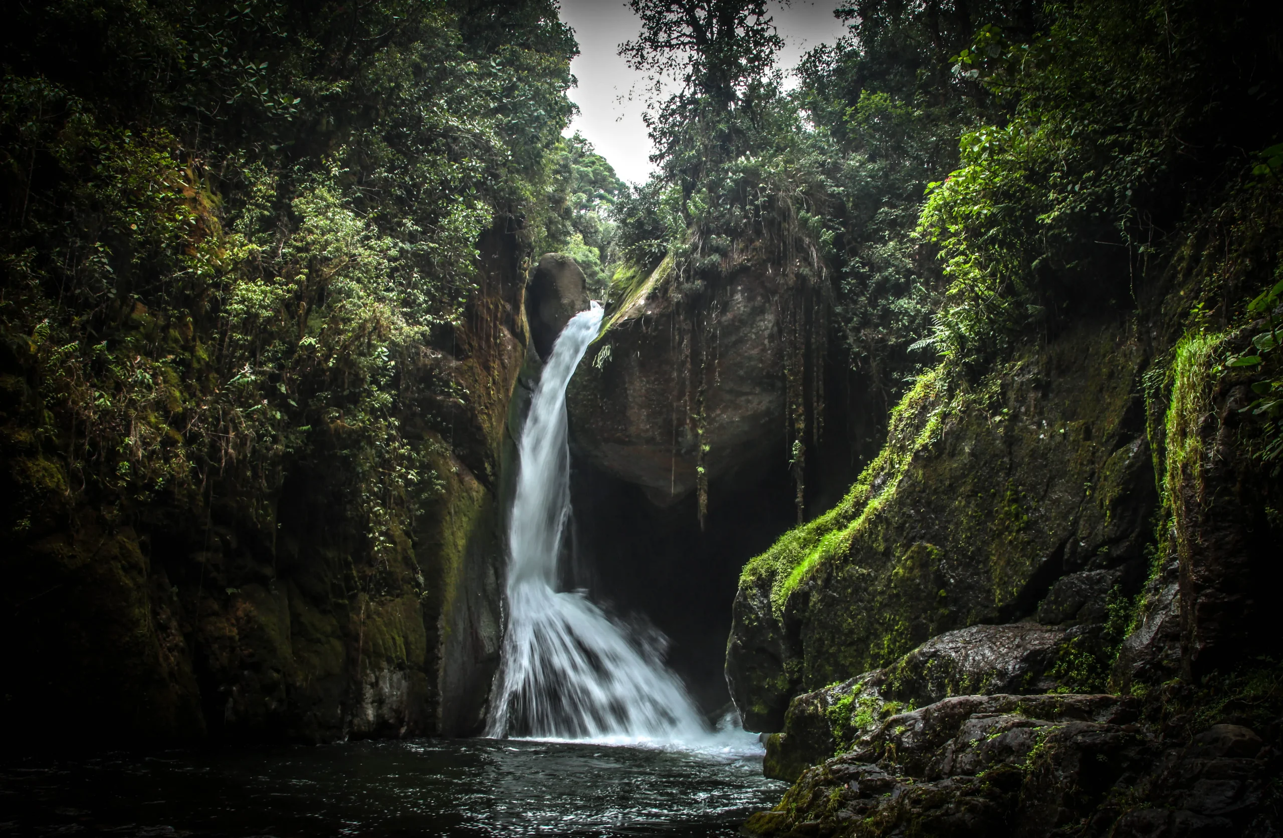 Descubre la Catarata del Río Savegre en San Gerardo de Dota