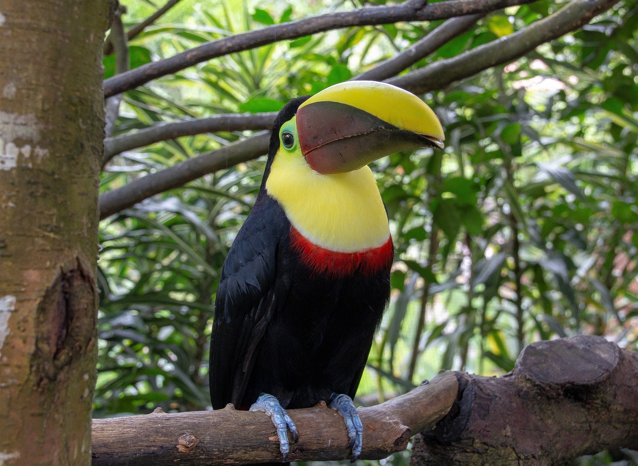 como planear un viaje a costa rica