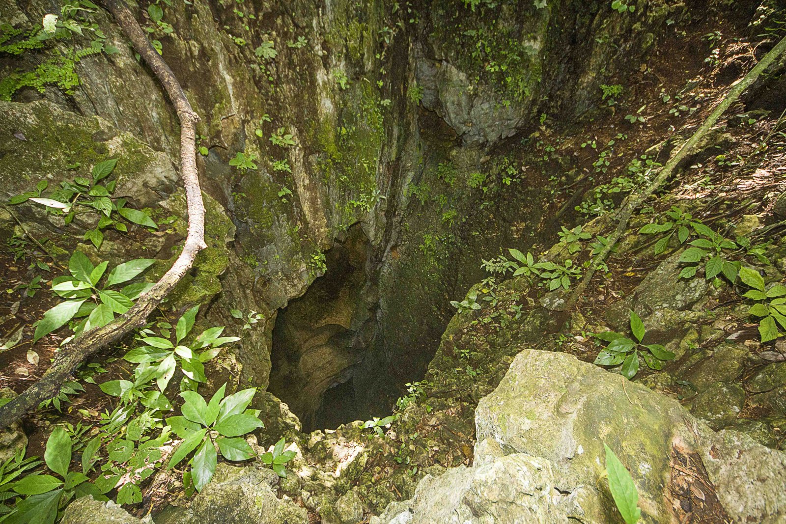 parque nacional barra honda costa rica