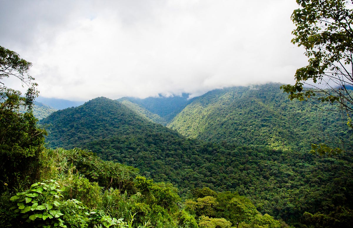 parque nacional braulio carrillo