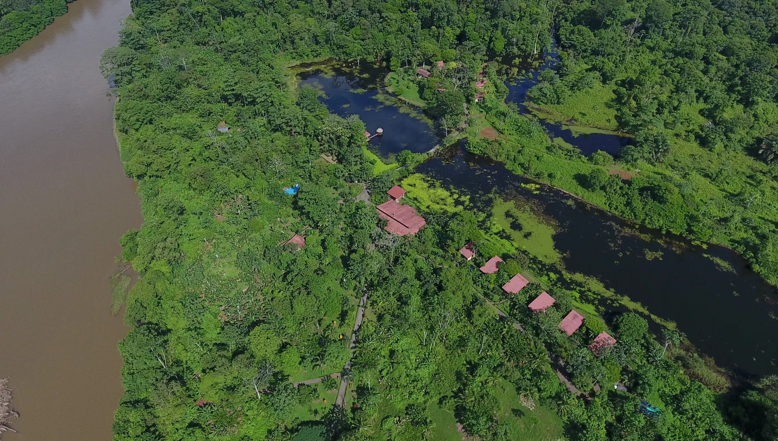 Una Guía del Parque Nacional Maquenque en Costa Rica