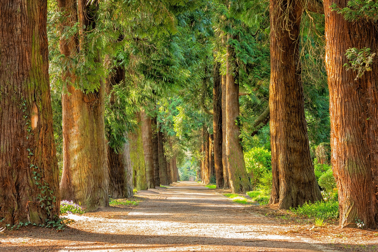 turismo rural en costa rica